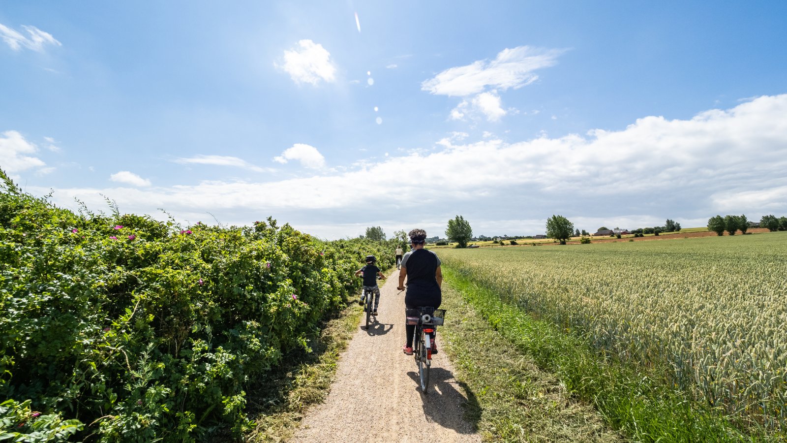 Cykling på Nevrestien
