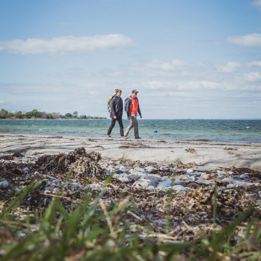 Mænd vandrer ved strand