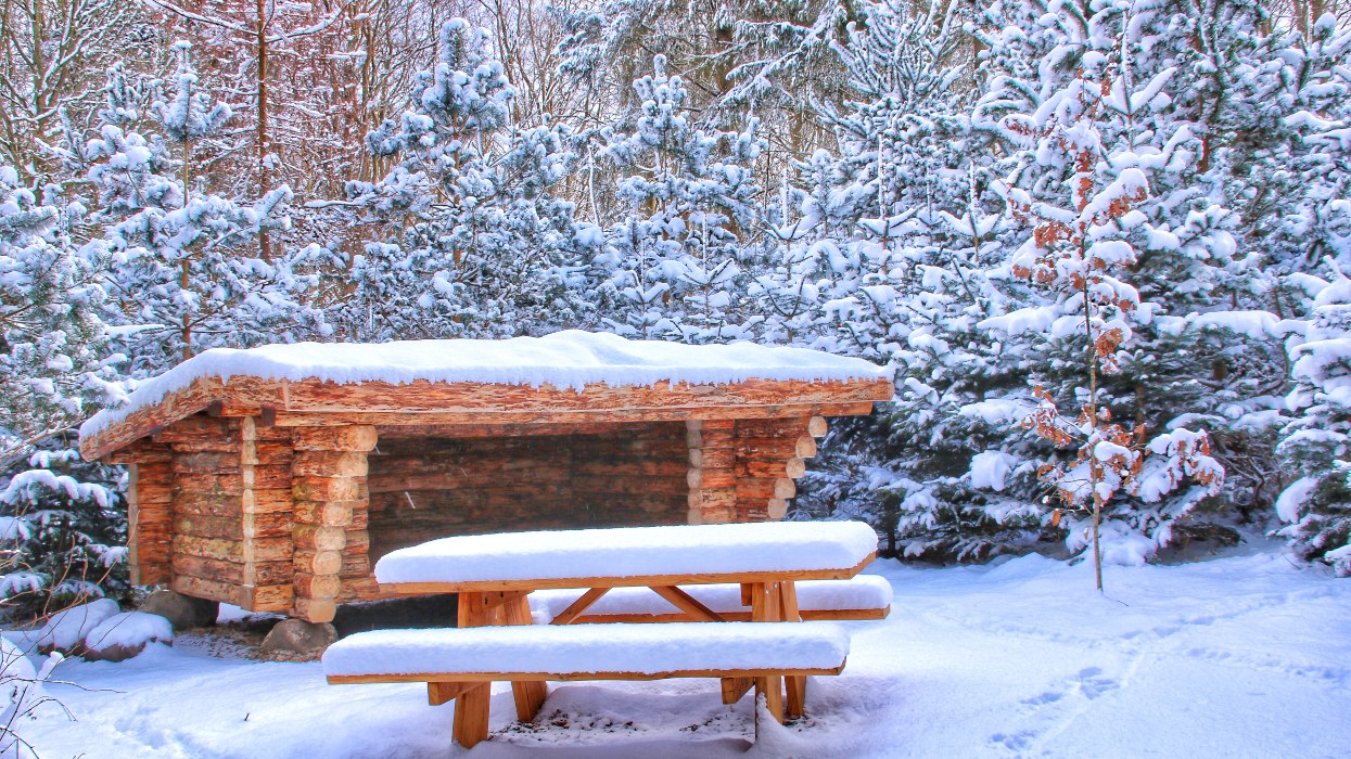 Snedækket shelter i Loddenbjerg