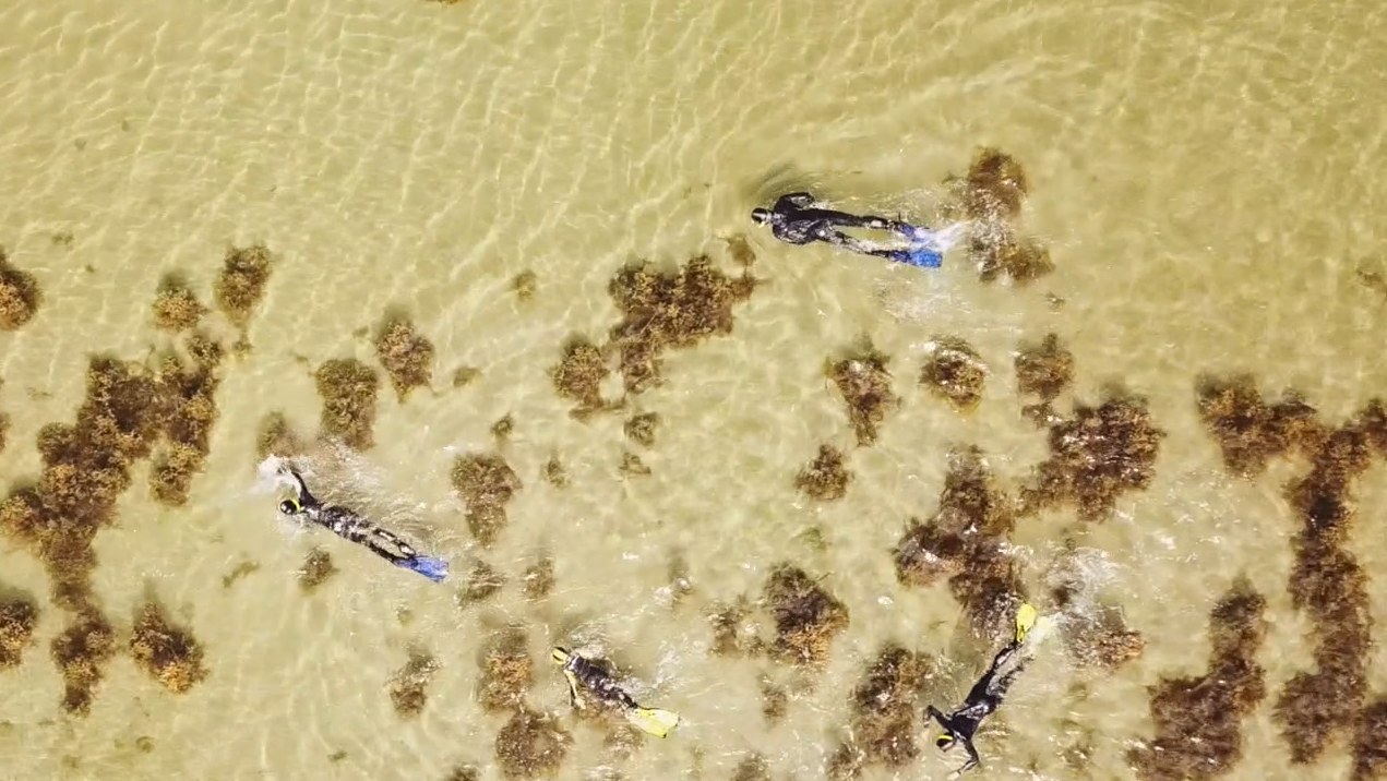 Aktiviteter i Geopark Det Sydfynske Øhav