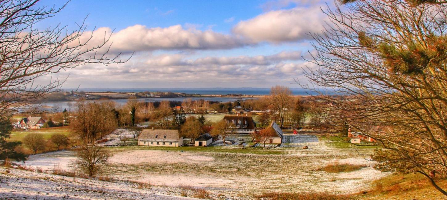 Sne og landskab