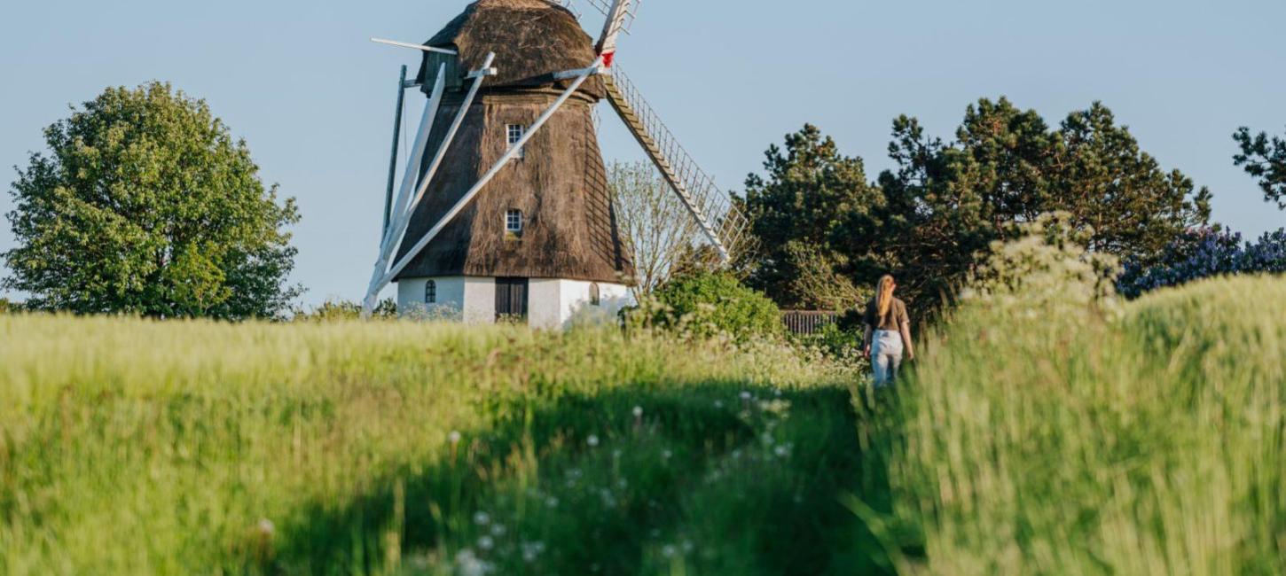 Vester Mølle, forår, sommer, natur, vandring