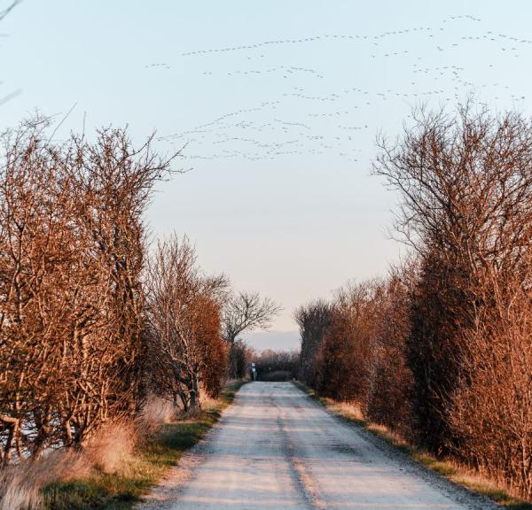 Vinter på Ærø