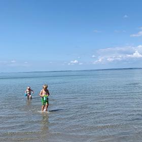 Kids on the beach