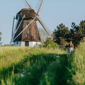 Vester Mølle, forår, sommer, natur, vandring