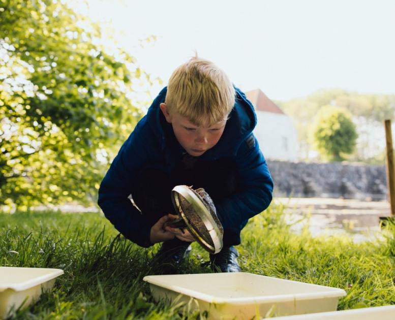 Ærø for børn - familieferie på Ærø